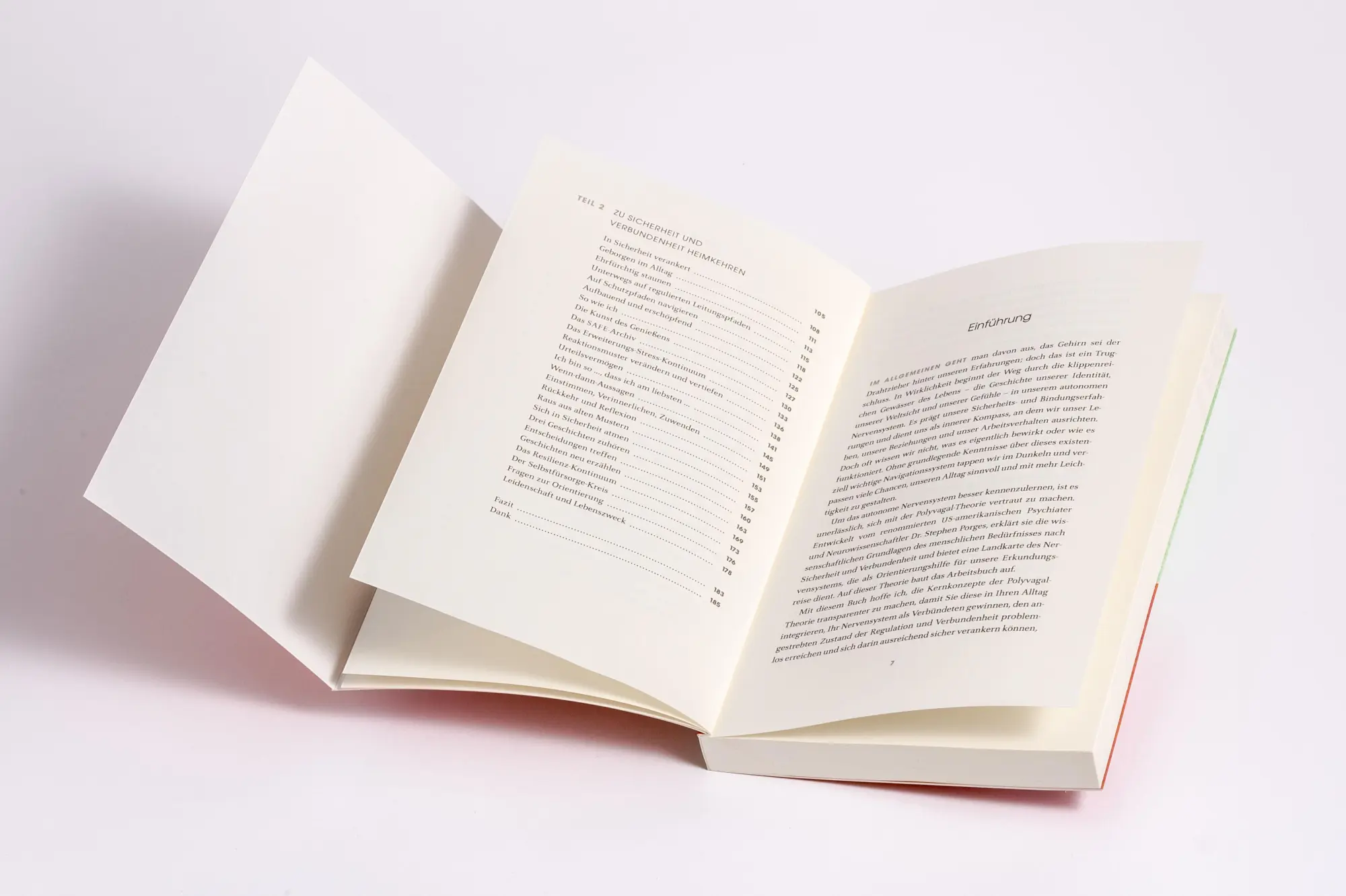 Bild: 9783466348411 | Das Vagus-Nerv Workbook | Deb Dana | Taschenbuch | 192 S. | Deutsch
