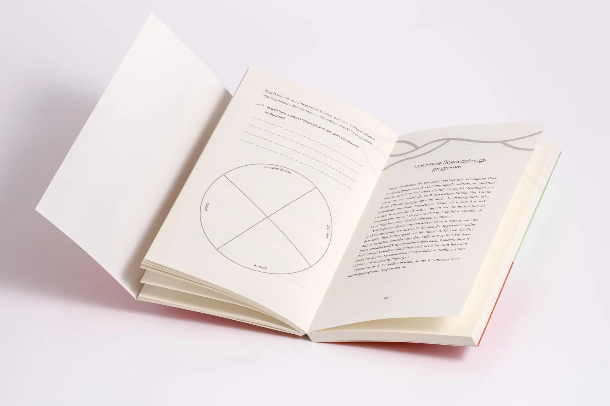 Bild: 9783466348411 | Das Vagus-Nerv Workbook | Deb Dana | Taschenbuch | 192 S. | Deutsch