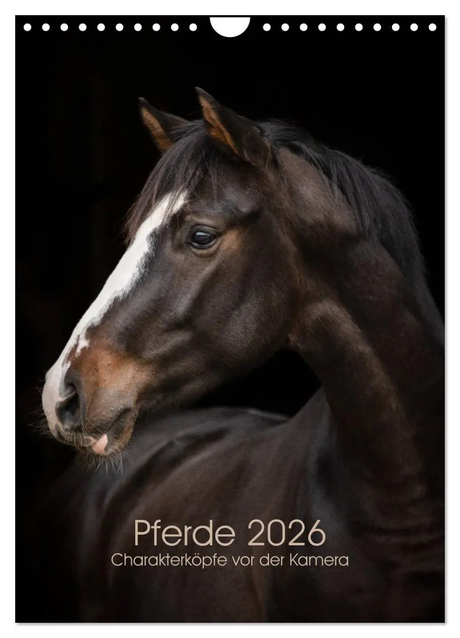 Cover: 9783516388411 | Pferde 2026 - Charakterköpfe vor der Kamera (Wandkalender 2026 DIN...