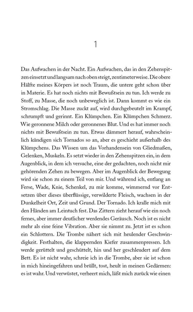 Bild: 9783869138411 | Die gläserne Stadt | Erzählung | Natascha Wodin | Buch | 310 S. | 2020