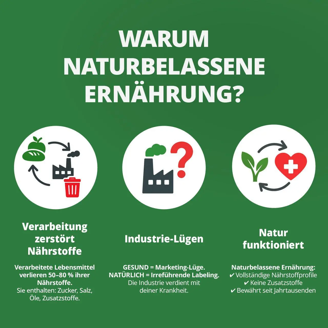 Bild: 9783982758411 | Die Krankheitslügen - Was man macht, um nicht krank zu werden. | Buch