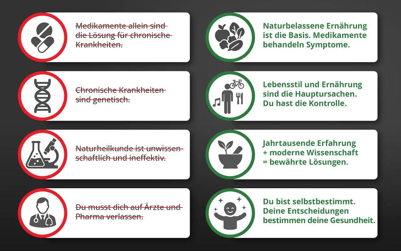 Bild: 9783982758411 | Die Krankheitslügen - Was man macht, um nicht krank zu werden. | Buch