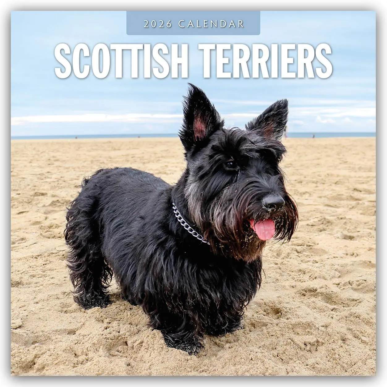 Cover: 9781804428511 | Scottish Terriers 2026 Square Wall Calendar | Red Robin | Taschenbuch