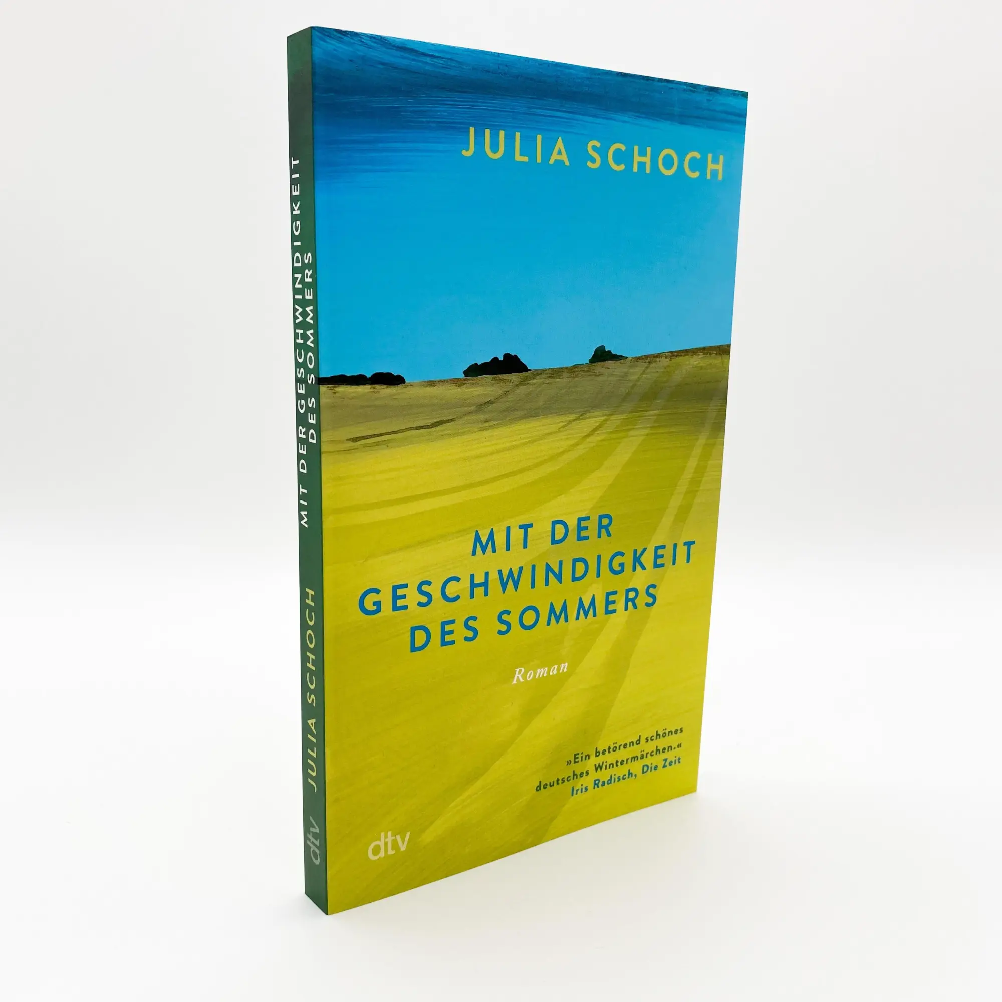 Bild: 9783423148511 | Mit der Geschwindigkeit des Sommers | Julia Schoch | Taschenbuch