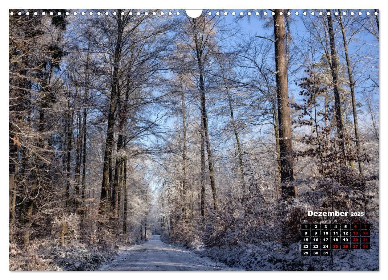 Bild: 9783435268511 | Rund um den Schönbuch (Wandkalender 2025 DIN A3 quer), CALVENDO...