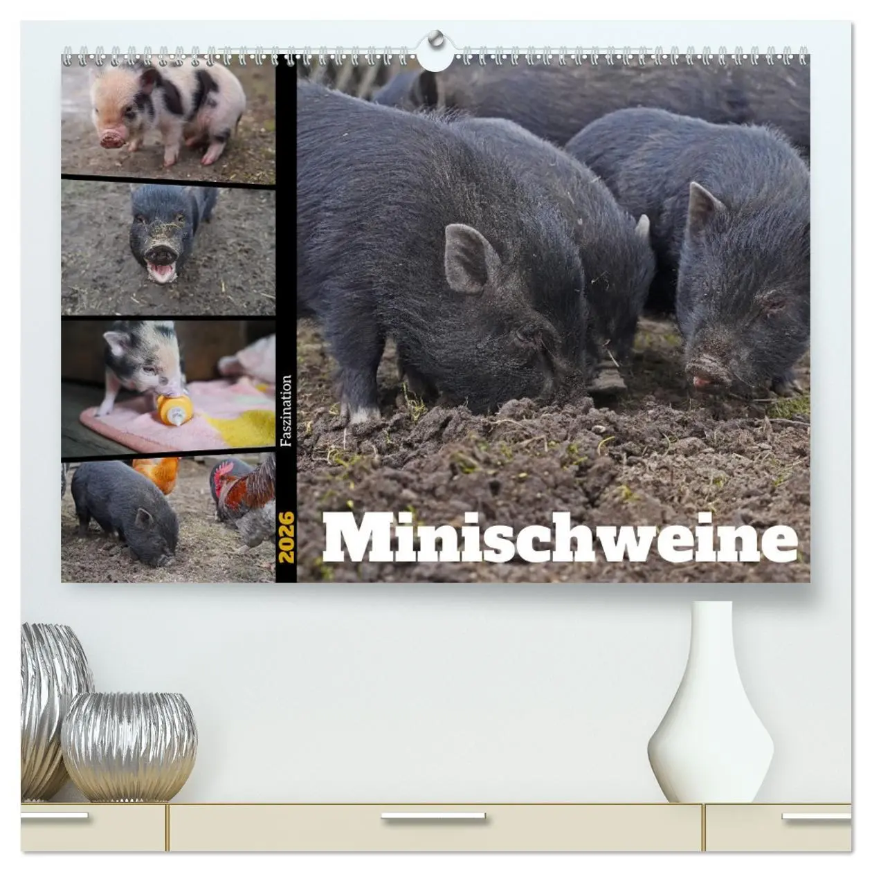 Cover: 9783457588611 | Faszination Minischweine (hochwertiger Premium Wandkalender 2026...