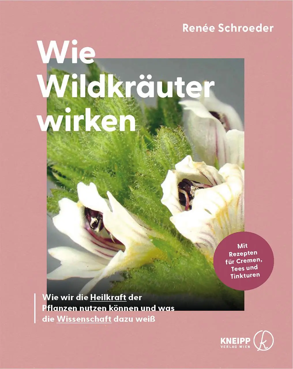 Cover: 9783708808611 | Wie Wildkräuter wirken | Renée Schroeder | Buch | 256 S. | Deutsch