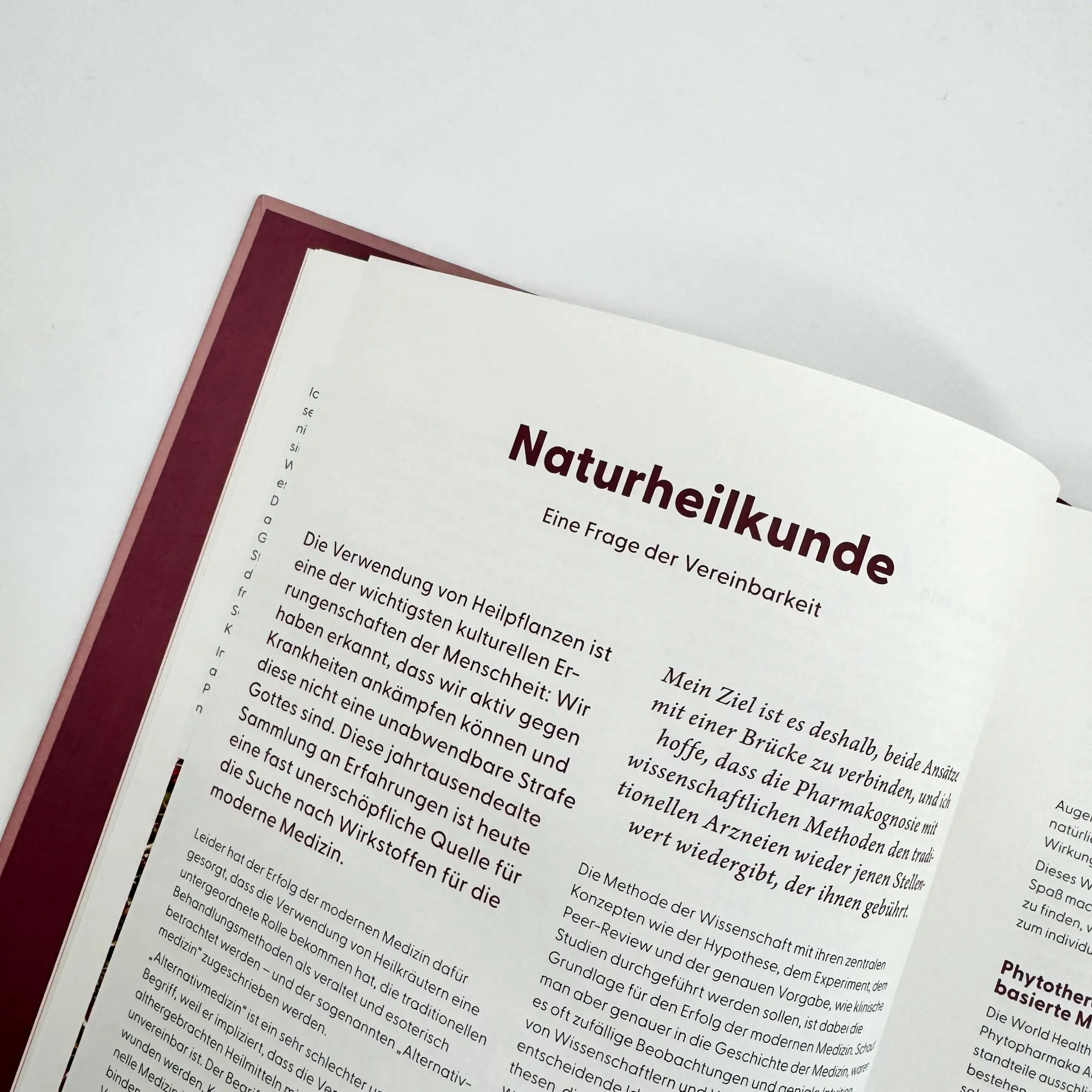 Bild: 9783708808611 | Wie Wildkräuter wirken | Renée Schroeder | Buch | 256 S. | Deutsch