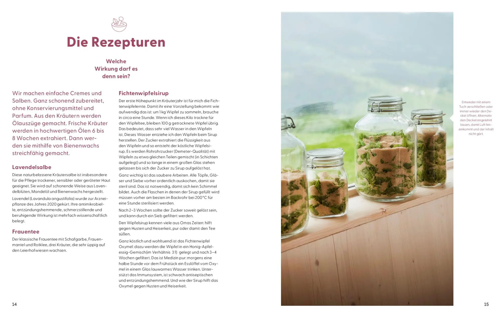 Bild: 9783708808611 | Wie Wildkräuter wirken | Renée Schroeder | Buch | 256 S. | Deutsch