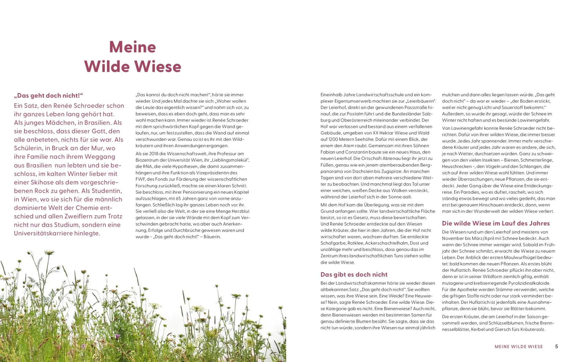 Bild: 9783708808611 | Wie Wildkräuter wirken | Renée Schroeder | Buch | 256 S. | Deutsch