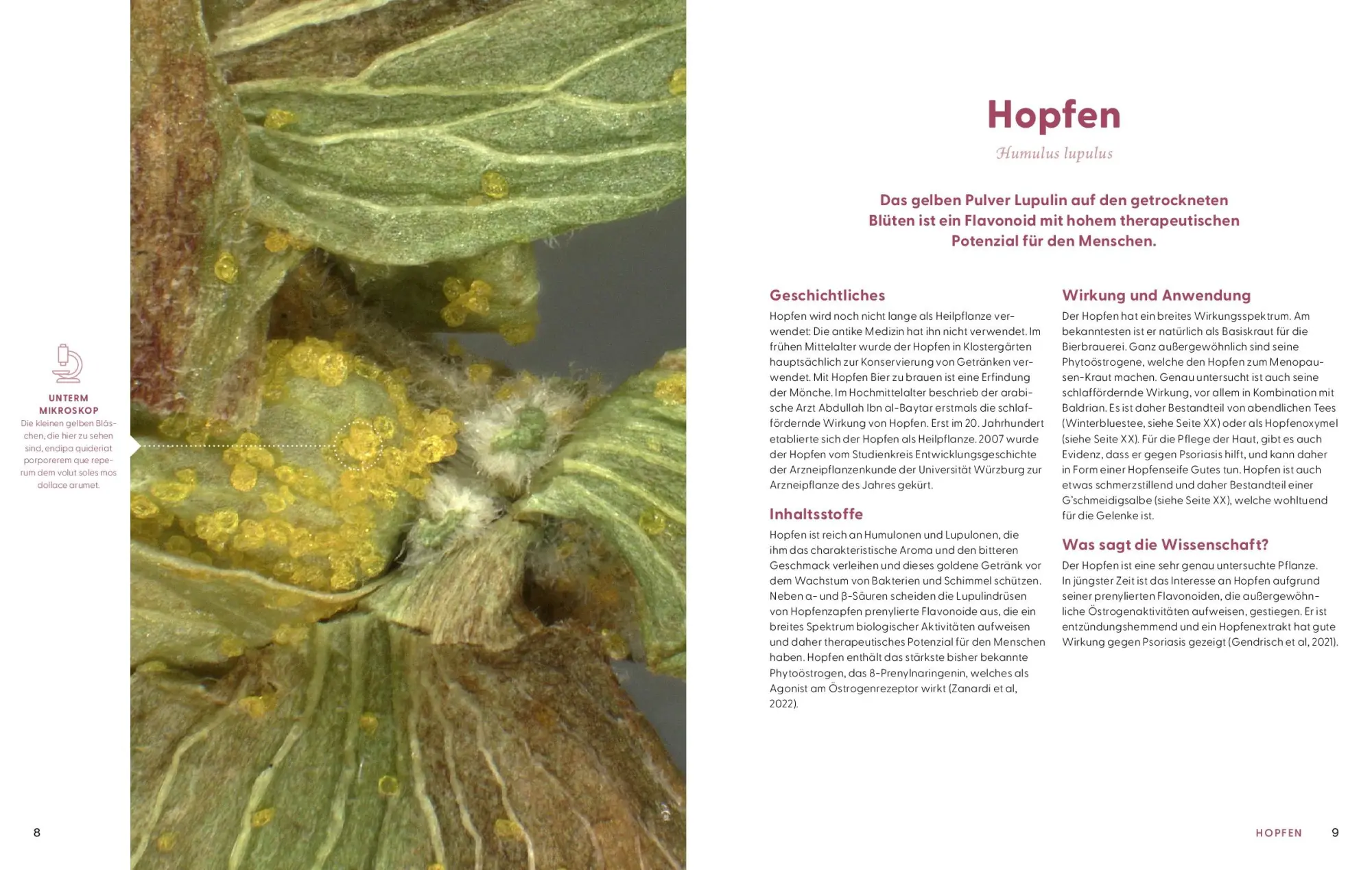 Bild: 9783708808611 | Wie Wildkräuter wirken | Renée Schroeder | Buch | 256 S. | Deutsch