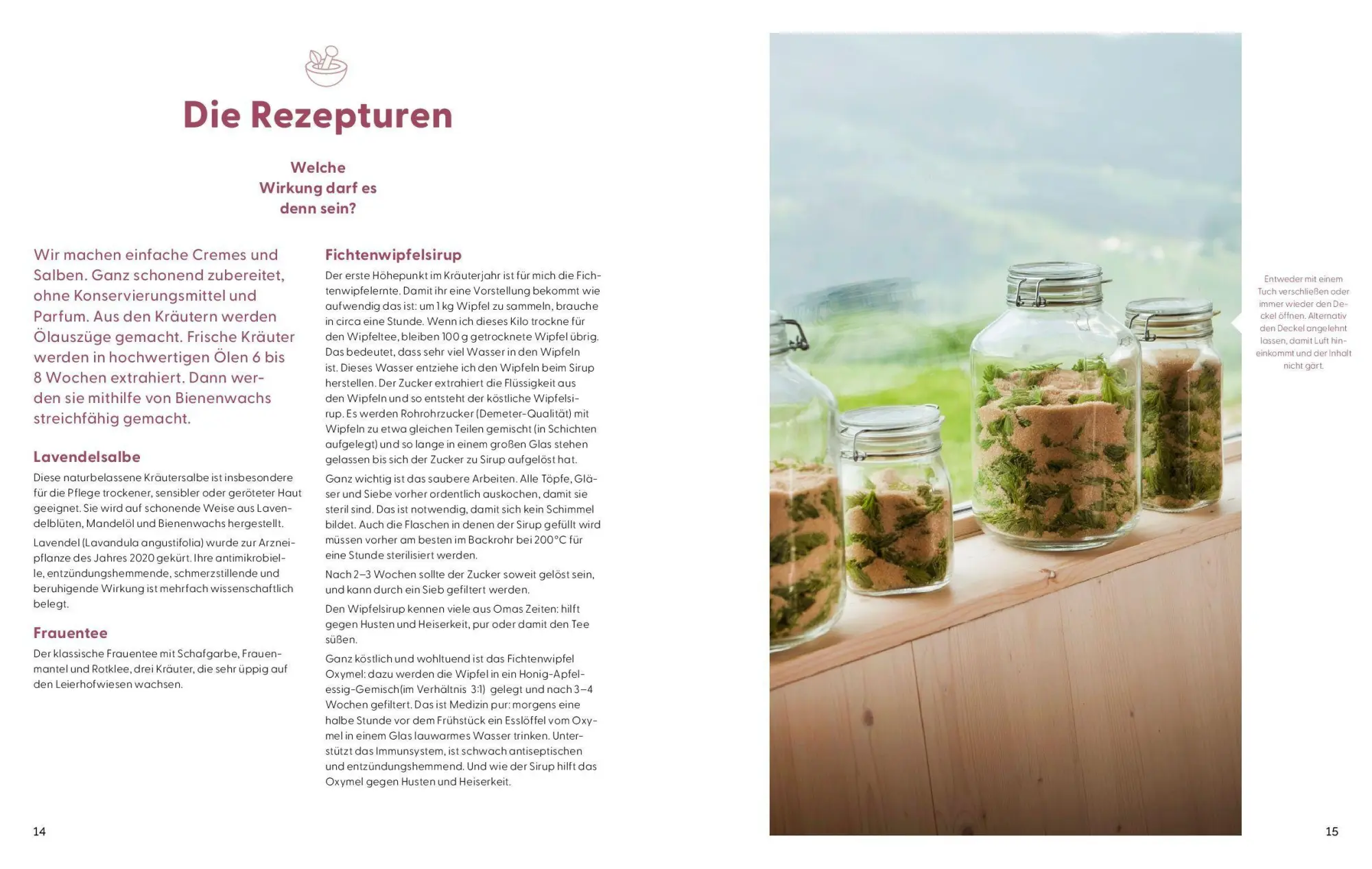 Bild: 9783708808611 | Wie Wildkräuter wirken | Renée Schroeder | Buch | 256 S. | Deutsch