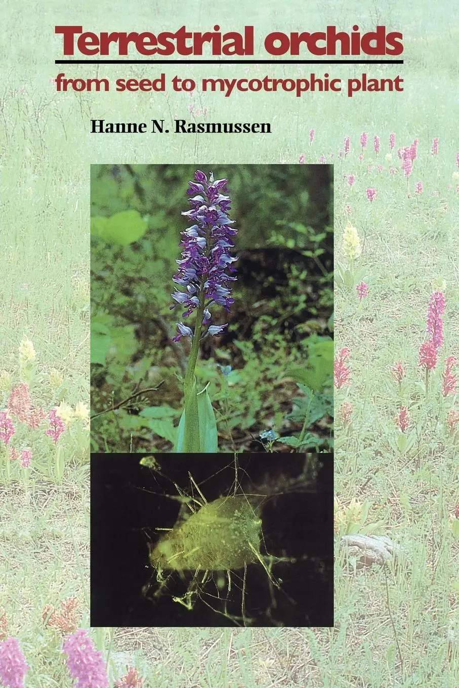 Cover: 9780521048811 | Terrestrial Orchids | From Seed to Mycotrophic Plant | Taschenbuch