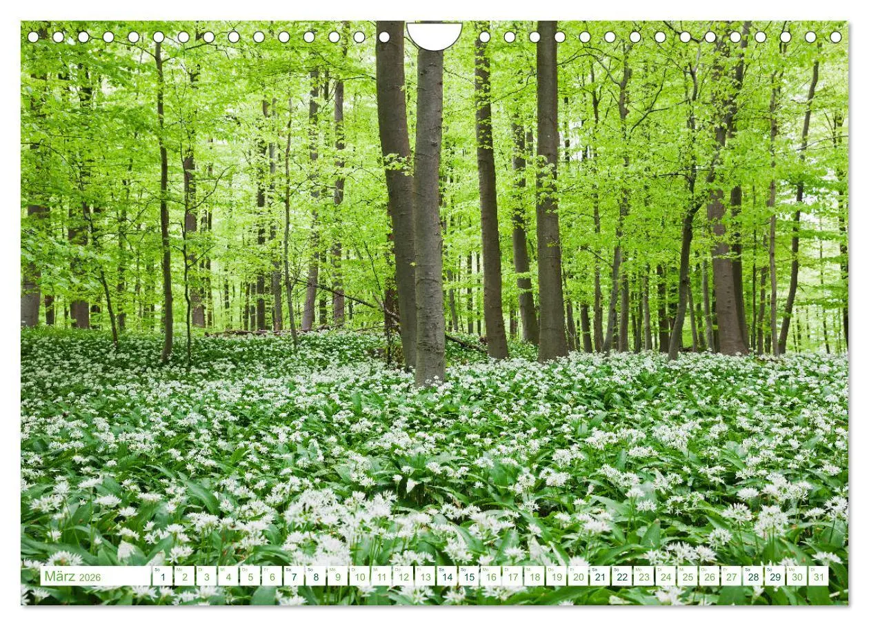 Bild: 9783457708811 | Eifel Reise - romantische Orte (Wandkalender 2026 DIN A4 quer),...