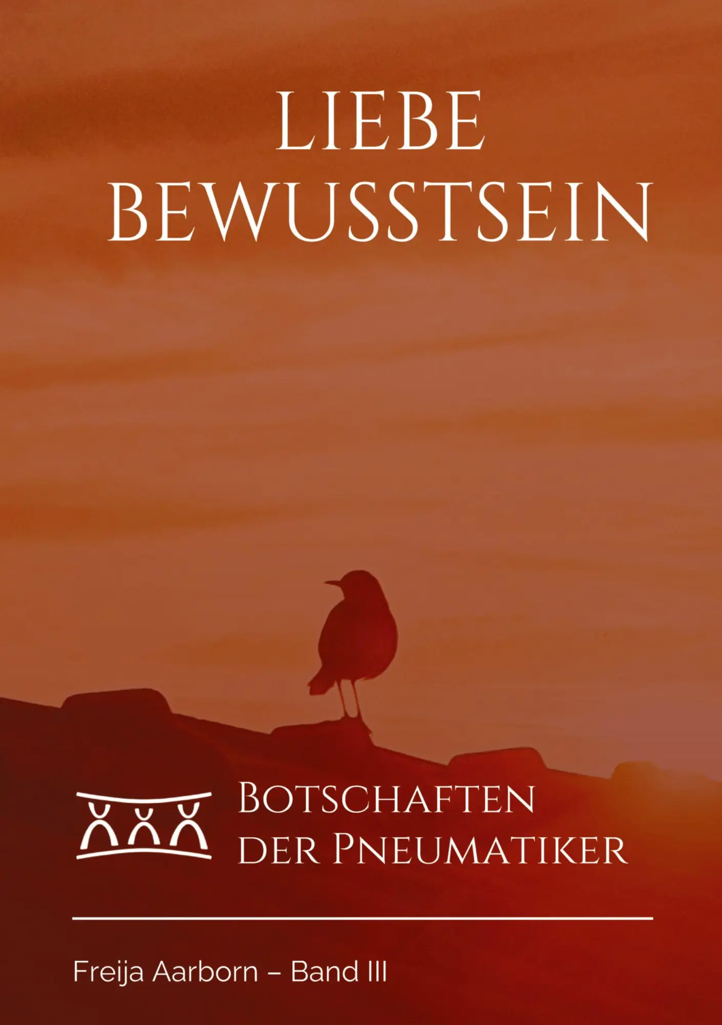 Cover: 9783347869011 | Liebe Bewusstsein | Botschaften der Pneumatiker | Freija Aarborn