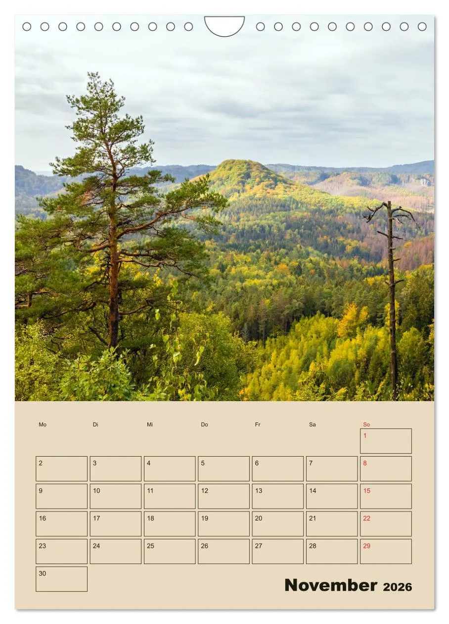 Bild: 9783516399011 | Zauberhafte Sächsische Schweiz (Wandkalender 2026 DIN A4 hoch),...
