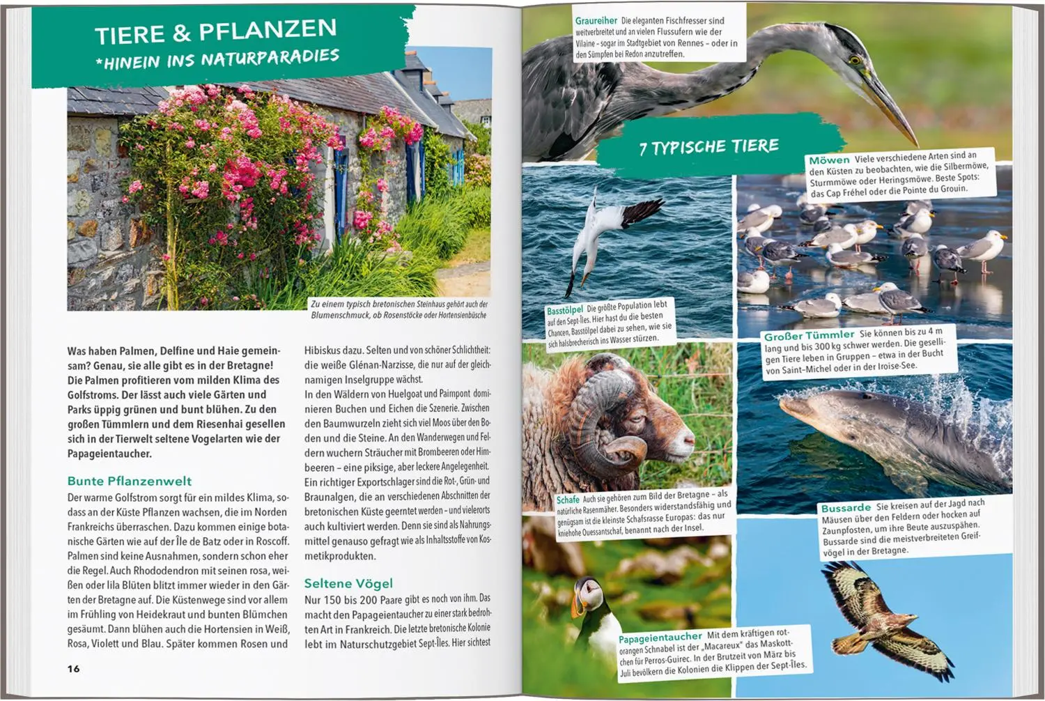 Bild: 9783575019011 | MARCO POLO OUTDOOR GUIDE Reiseführer Bretagne | Leon Ginzel | Buch