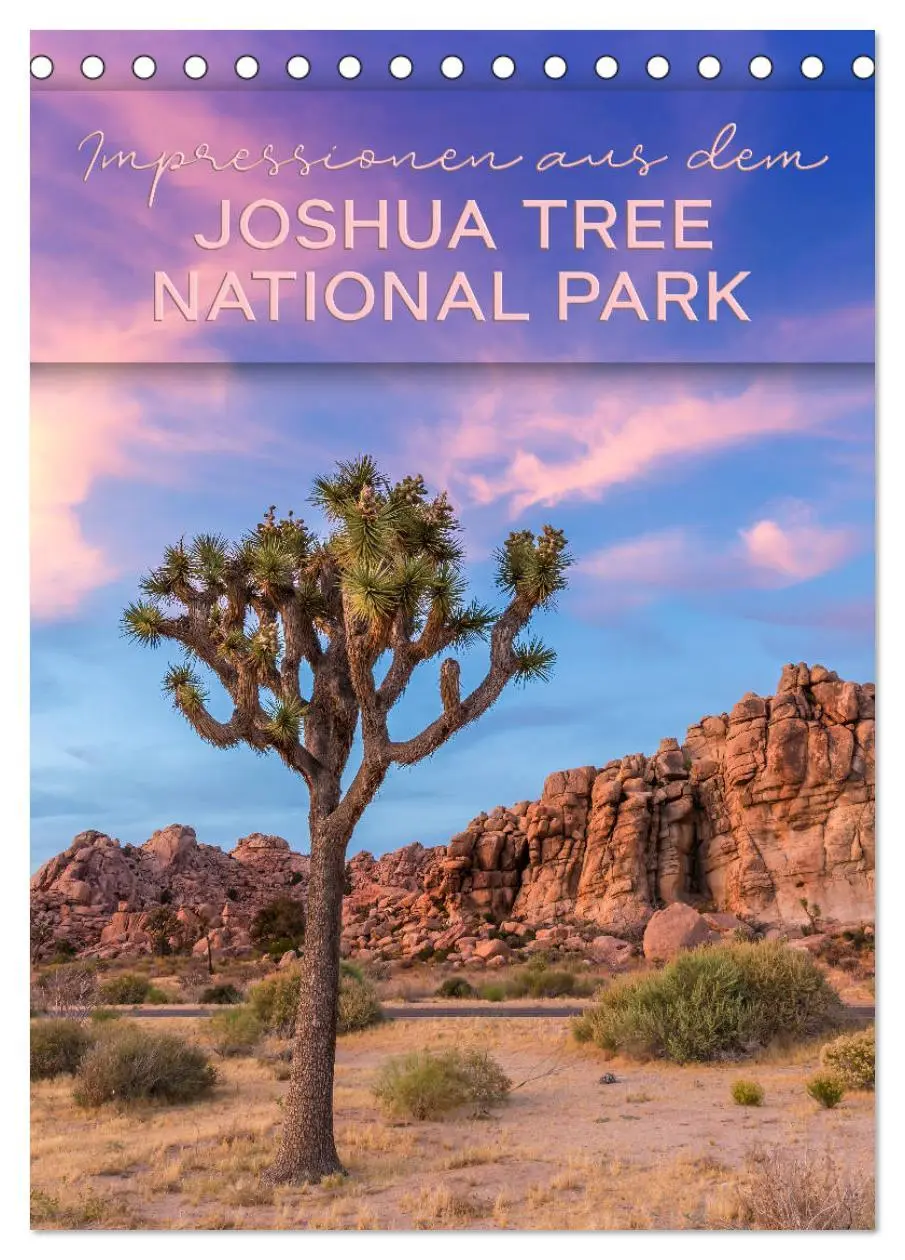 Cover: 9783516389111 | Impressionen aus dem JOSHUA TREE NATIONAL PARK (Tischkalender 2026...