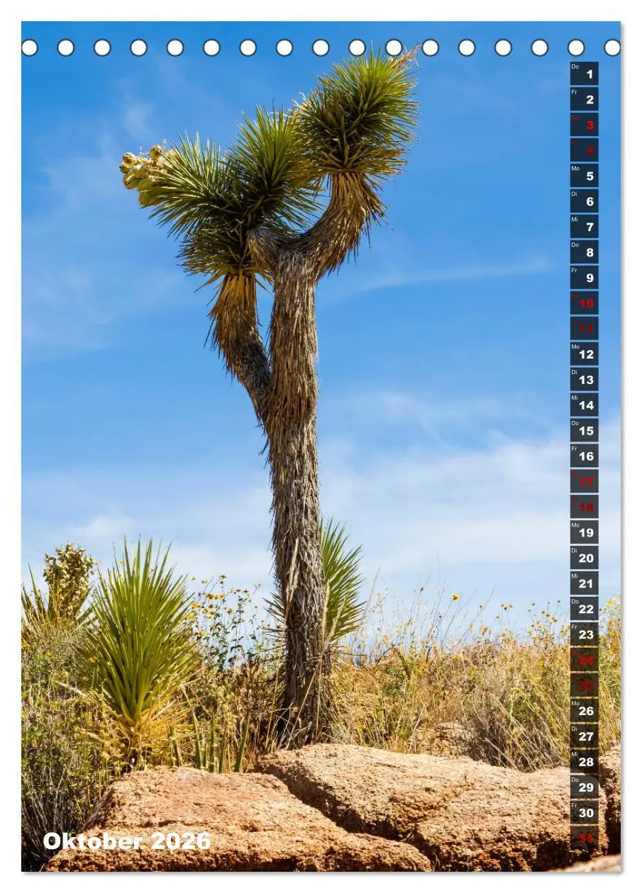 Bild: 9783516389111 | Impressionen aus dem JOSHUA TREE NATIONAL PARK (Tischkalender 2026...