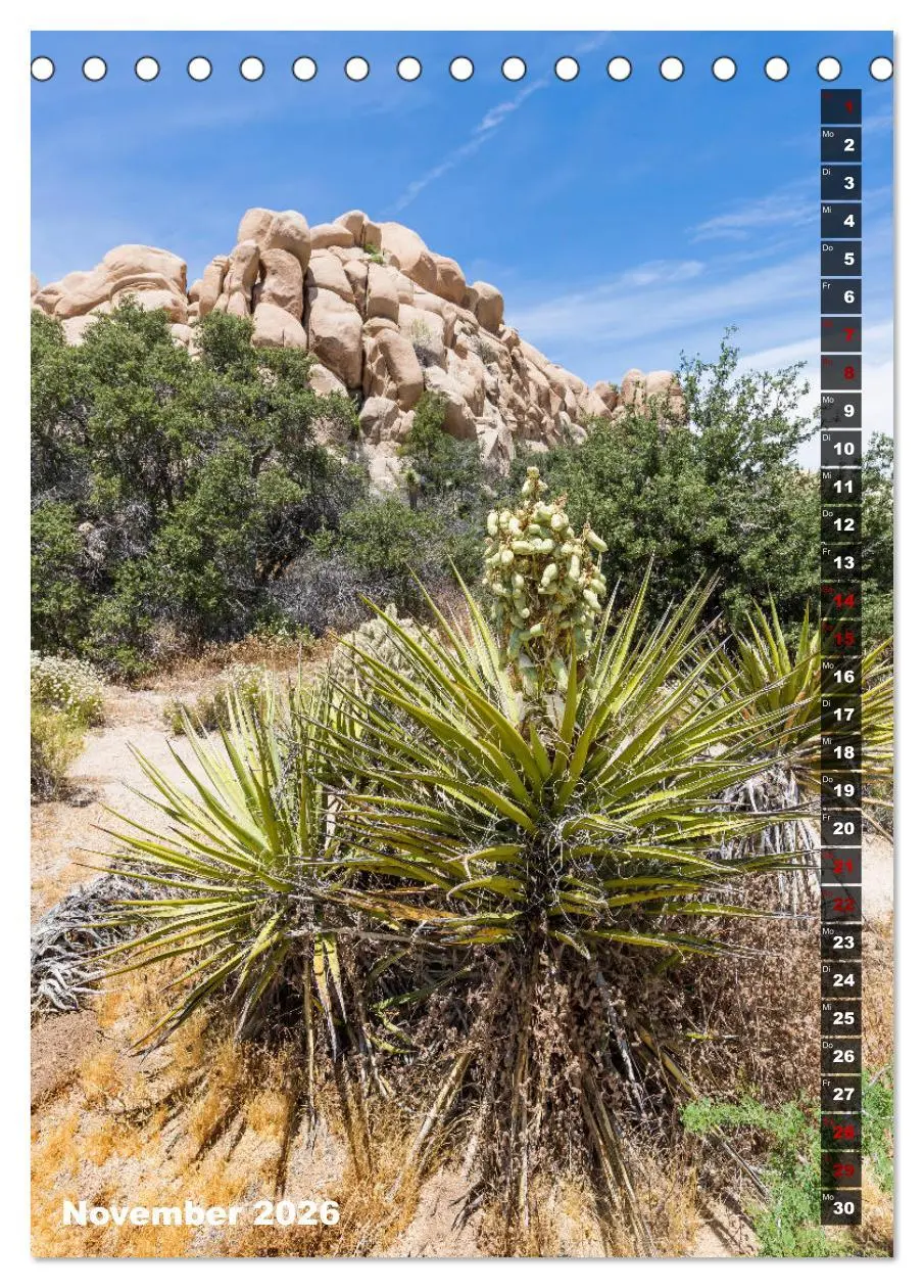 Bild: 9783516389111 | Impressionen aus dem JOSHUA TREE NATIONAL PARK (Tischkalender 2026...