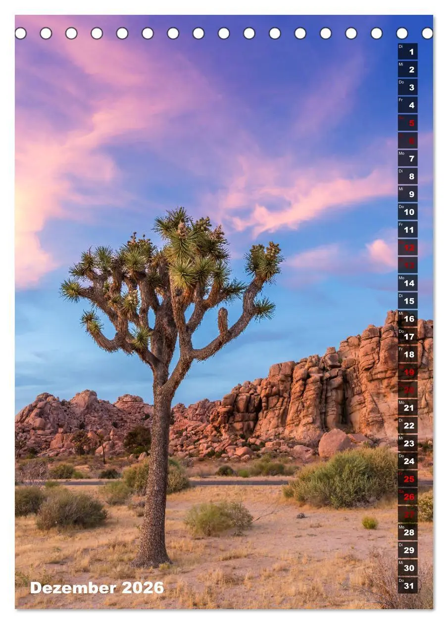 Bild: 9783516389111 | Impressionen aus dem JOSHUA TREE NATIONAL PARK (Tischkalender 2026...