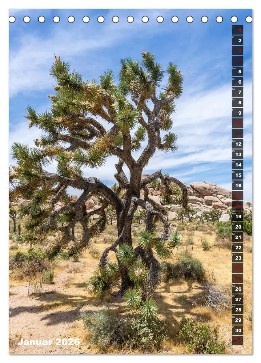 Bild: 9783516389111 | Impressionen aus dem JOSHUA TREE NATIONAL PARK (Tischkalender 2026...