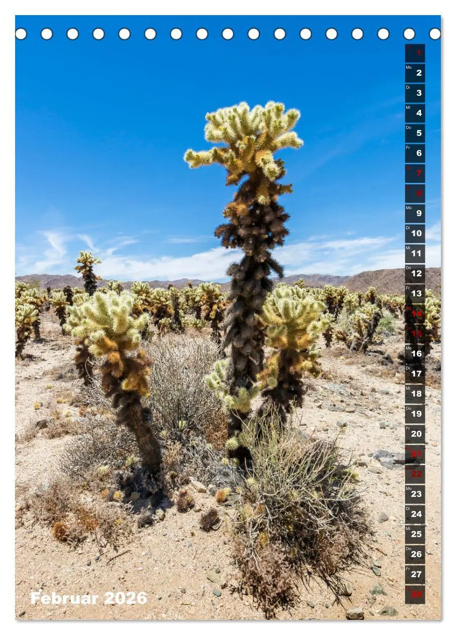 Bild: 9783516389111 | Impressionen aus dem JOSHUA TREE NATIONAL PARK (Tischkalender 2026...