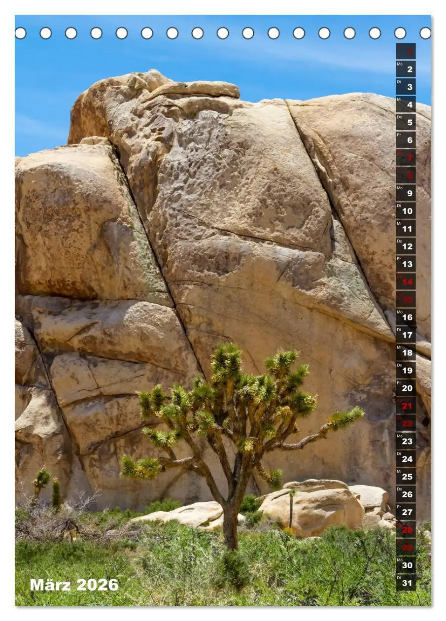 Bild: 9783516389111 | Impressionen aus dem JOSHUA TREE NATIONAL PARK (Tischkalender 2026...