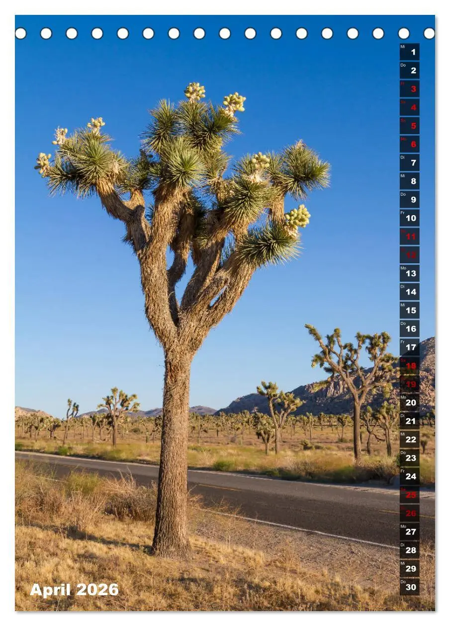 Bild: 9783516389111 | Impressionen aus dem JOSHUA TREE NATIONAL PARK (Tischkalender 2026...