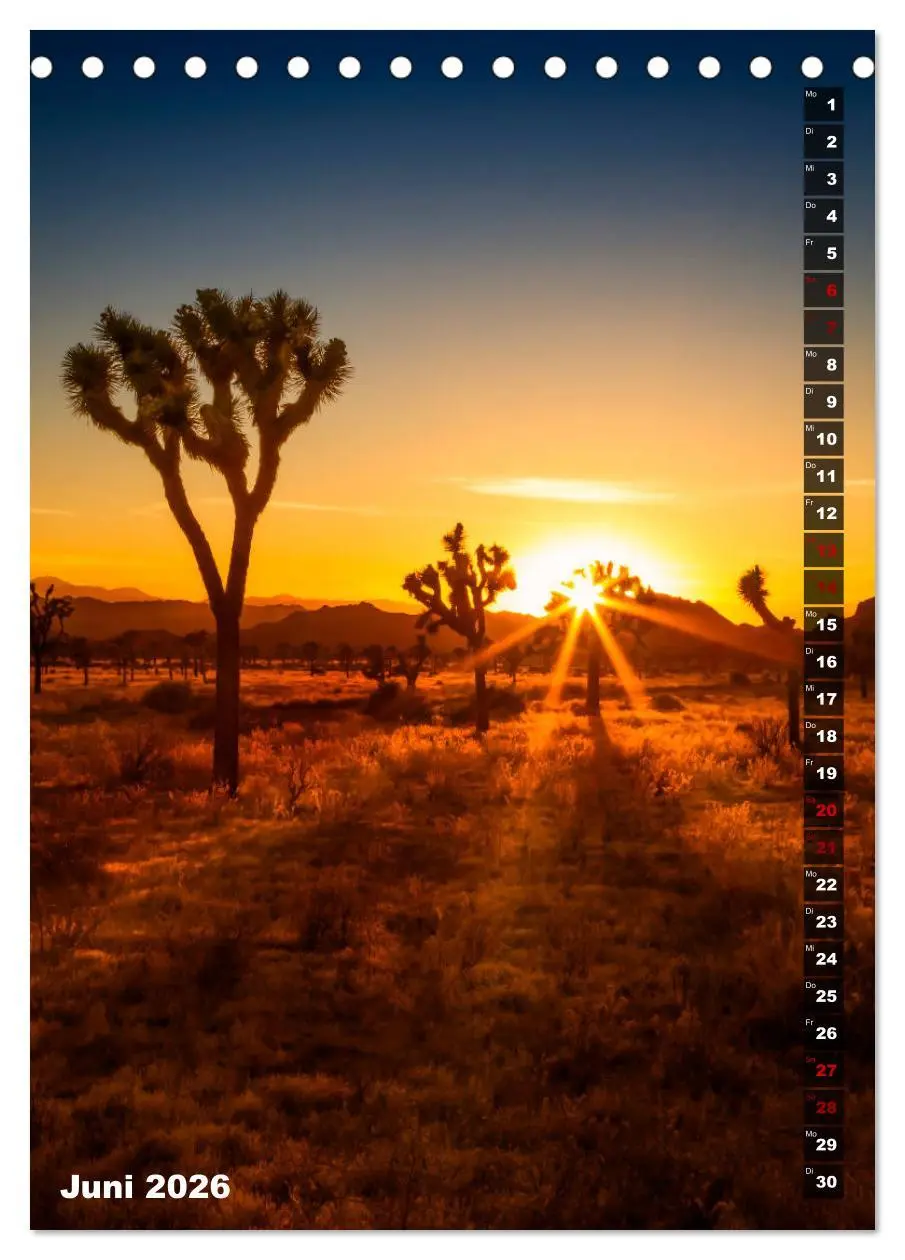 Bild: 9783516389111 | Impressionen aus dem JOSHUA TREE NATIONAL PARK (Tischkalender 2026...