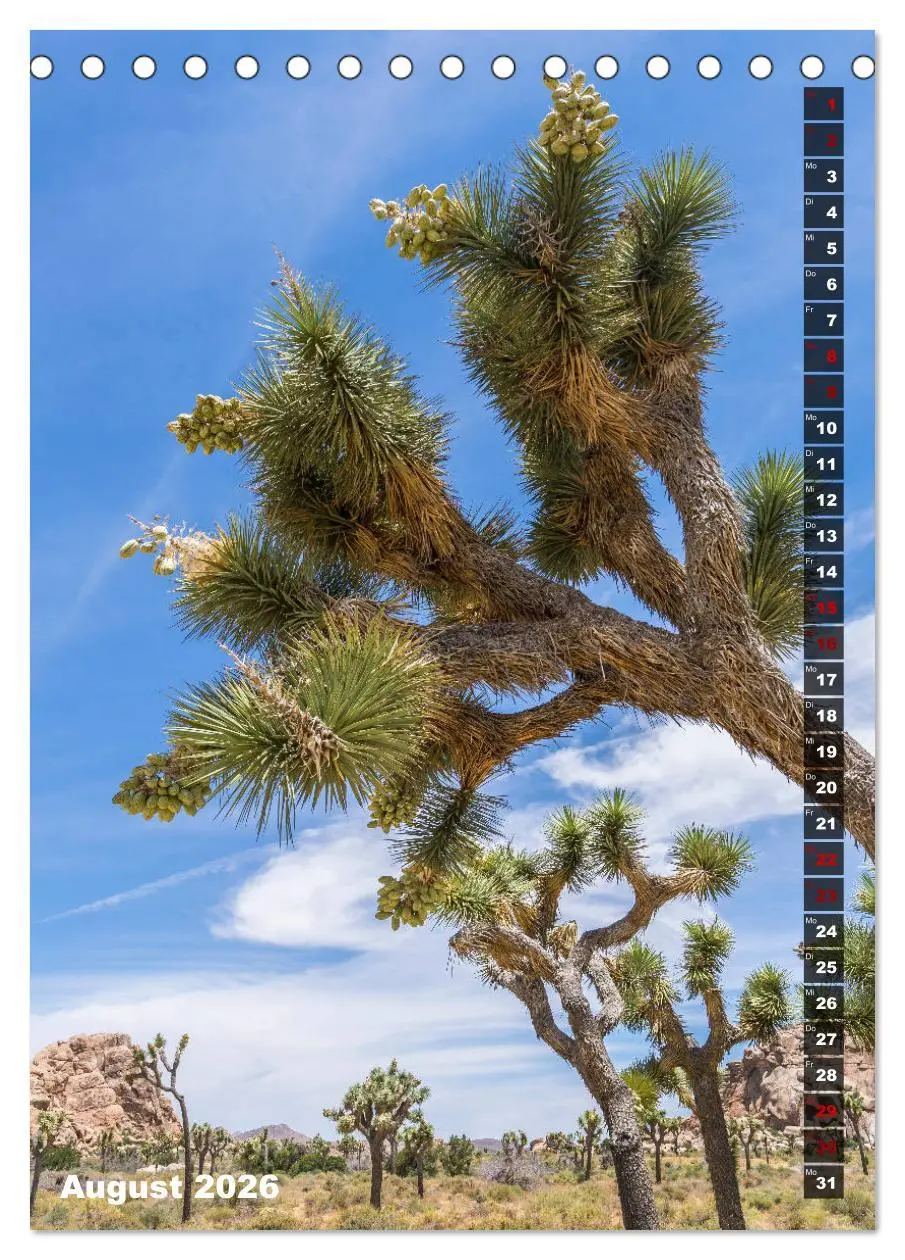 Bild: 9783516389111 | Impressionen aus dem JOSHUA TREE NATIONAL PARK (Tischkalender 2026...