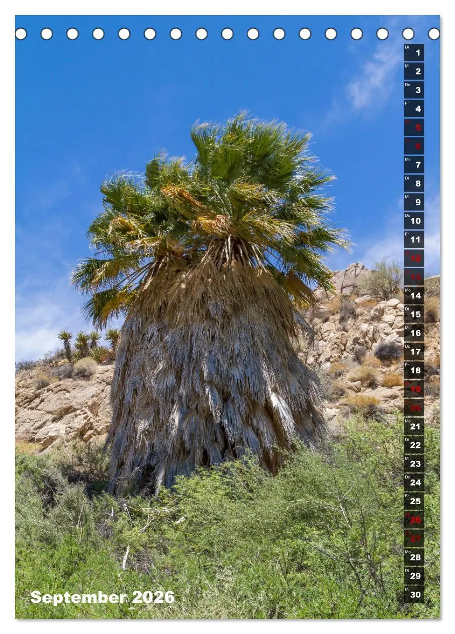 Bild: 9783516389111 | Impressionen aus dem JOSHUA TREE NATIONAL PARK (Tischkalender 2026...