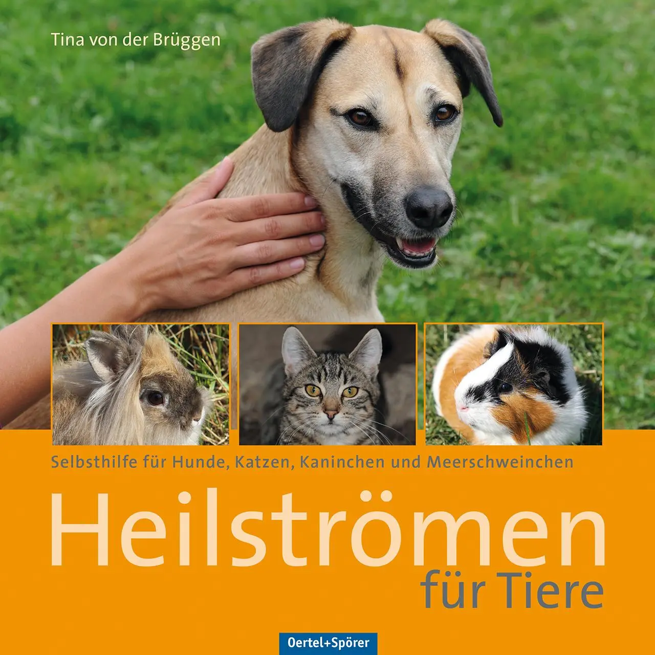 Cover: 9783886279111 | Heilströmen für Tiere | Tina von der Brüggen | Buch | 134 S. | Deutsch