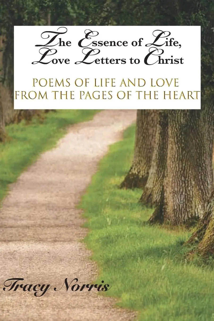Cover: 9781950719211 | The Essence of Life, Love Letters to Christ | Tracy Norris | Buch