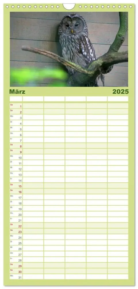 Bild: 9783457119211 | Familienplaner 2025 - Eulen mit 5 Spalten (Wandkalender, 21 x 45...