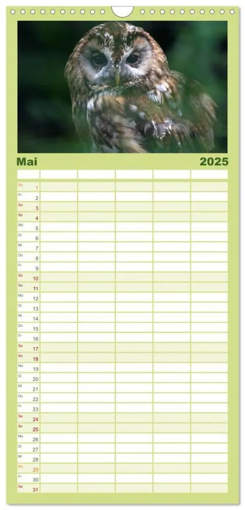 Bild: 9783457119211 | Familienplaner 2025 - Eulen mit 5 Spalten (Wandkalender, 21 x 45...