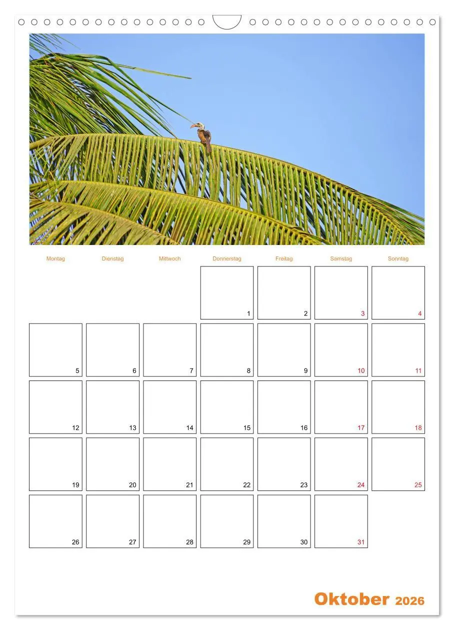 Bild: 9783516379211 | Gambia und Senegal erleben (Wandkalender 2026 DIN A3 hoch),...