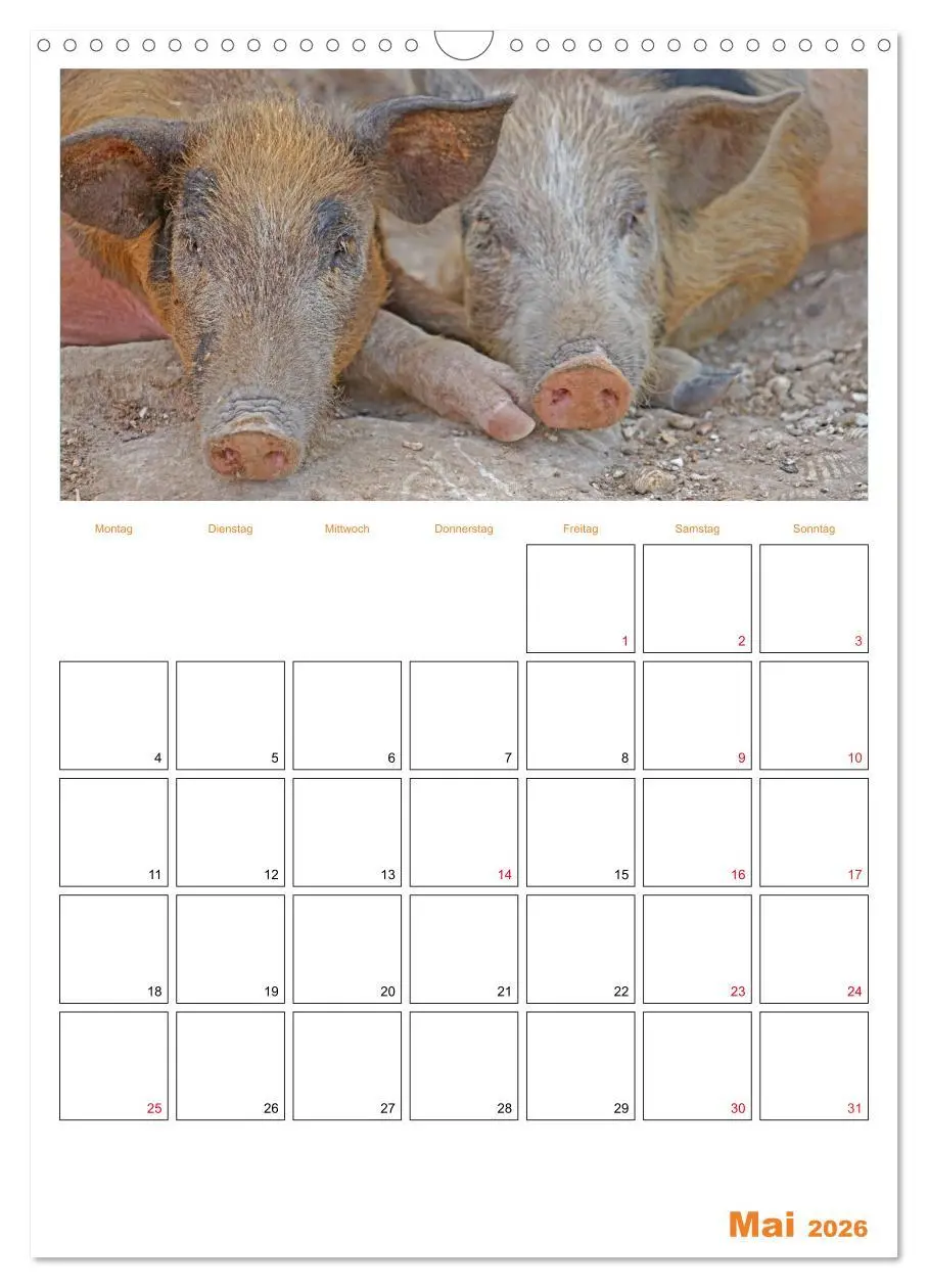 Bild: 9783516379211 | Gambia und Senegal erleben (Wandkalender 2026 DIN A3 hoch),...
