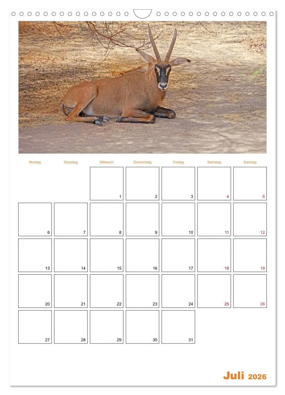 Bild: 9783516379211 | Gambia und Senegal erleben (Wandkalender 2026 DIN A3 hoch),...