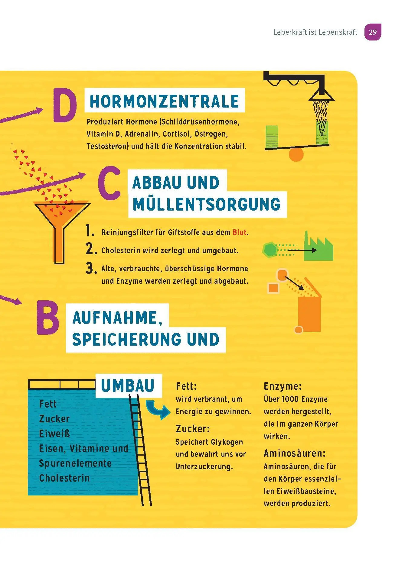 Bild: 9783432119311 | Wunderleicht Leberreinigung | Lulit Wunder (u. a.) | Taschenbuch