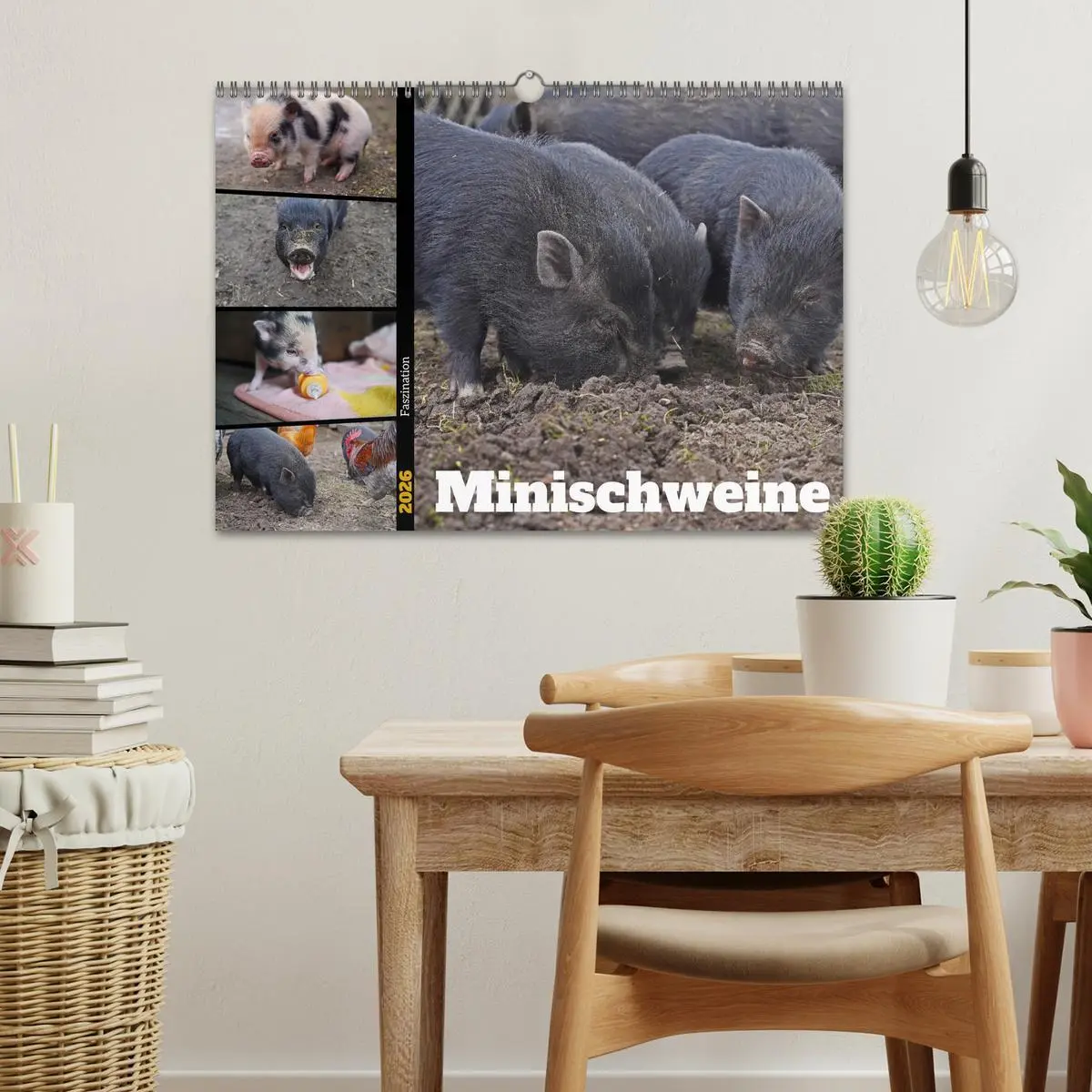 Bild: 9783457589311 | Faszination Minischweine (Wandkalender 2026 DIN A3 quer), CALVENDO...