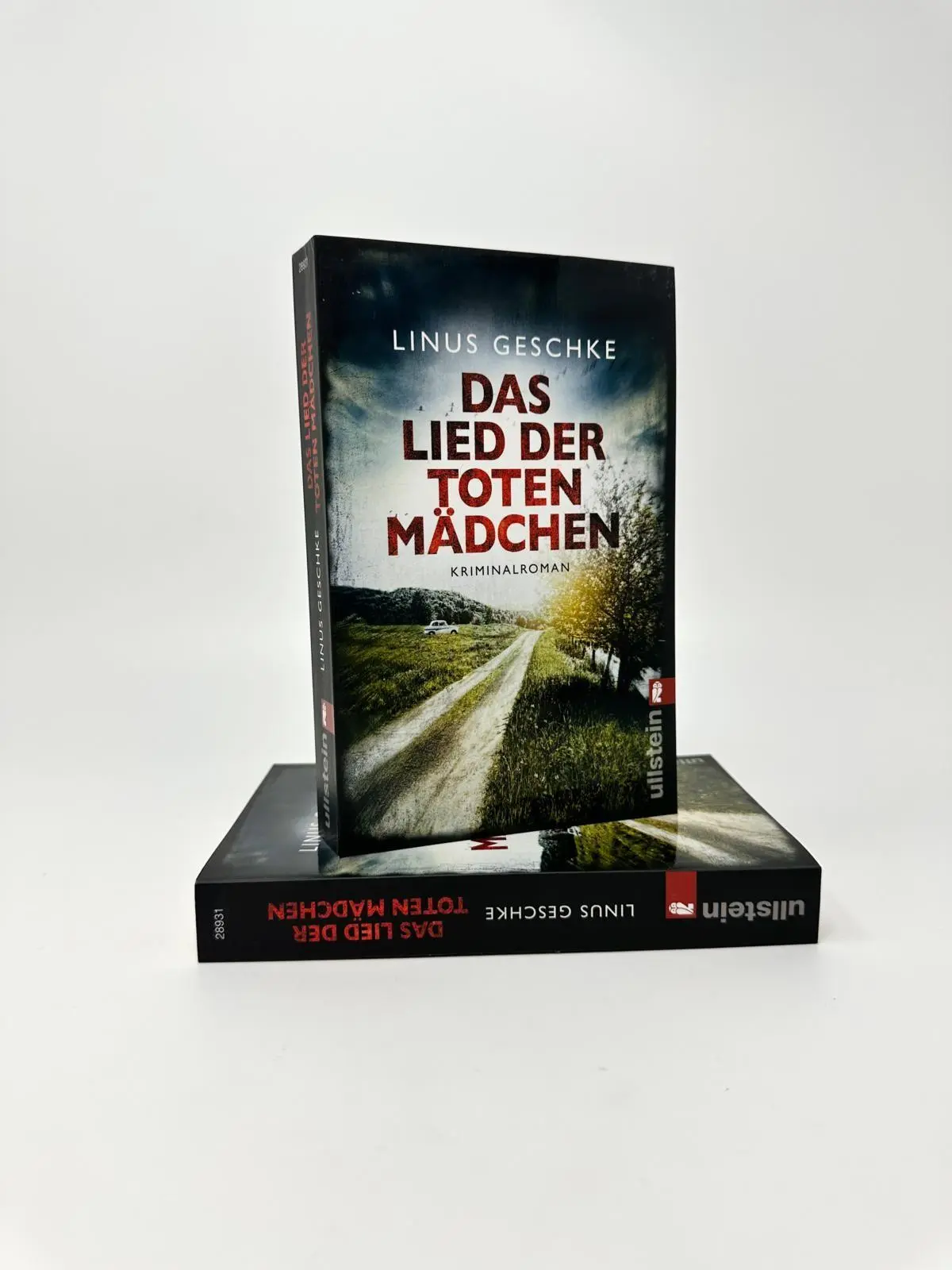 Bild: 9783548289311 | Das Lied der toten Mädchen | Linus Geschke | Taschenbuch | 400 S.