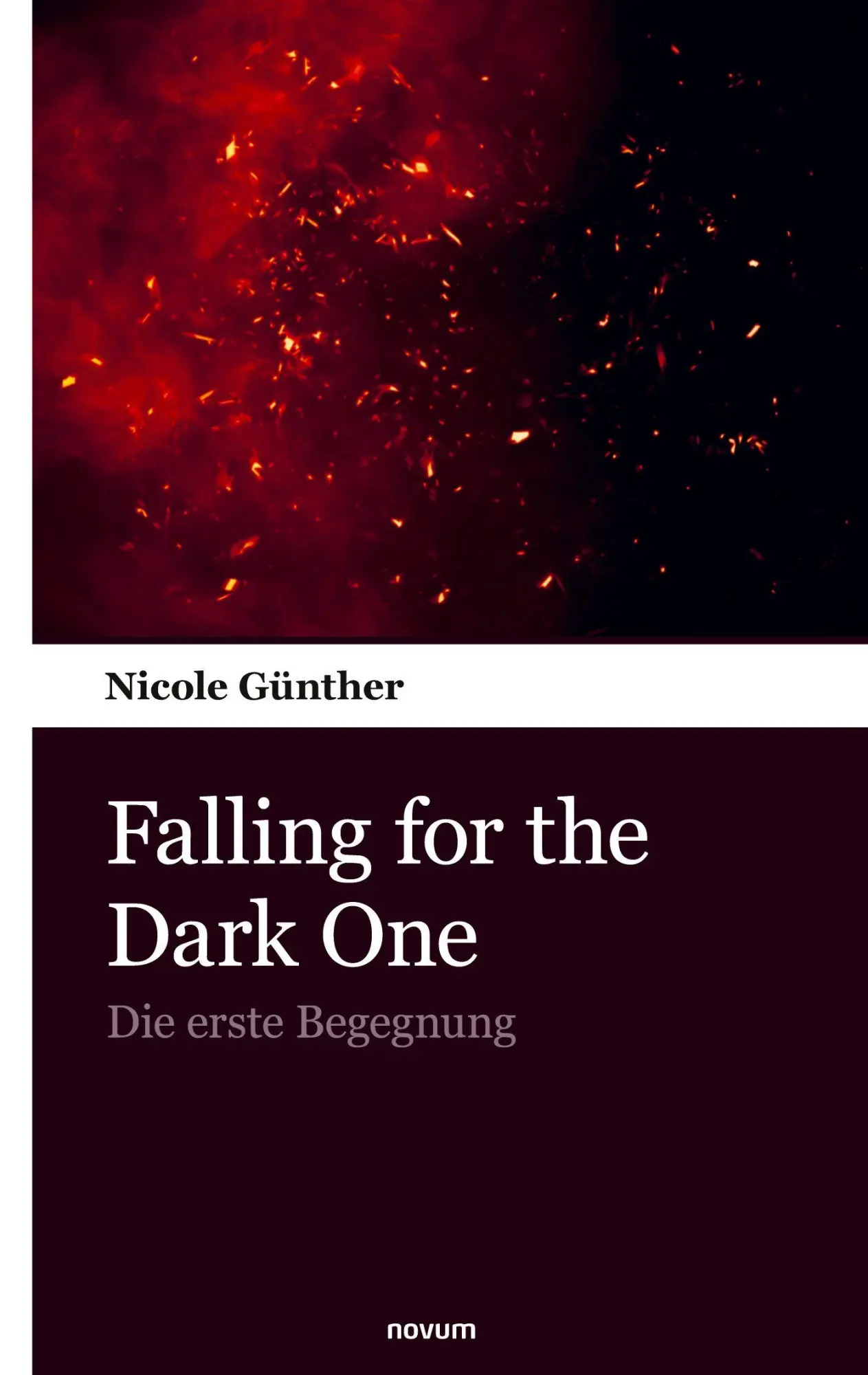 Cover: 9783903529311 | Falling for the Dark One | Die erste Begegnung | Nicole Günther | Buch