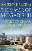 Cover: 9781849049511 | The Mayor of Mogadishu | Andrew Harding | Taschenbuch | Englisch