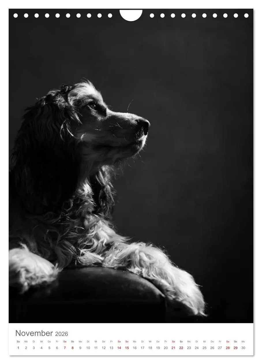 Bild: 9783516419511 | Fine Art Hundeportraits (Wandkalender 2026 DIN A4 hoch), CALVENDO...