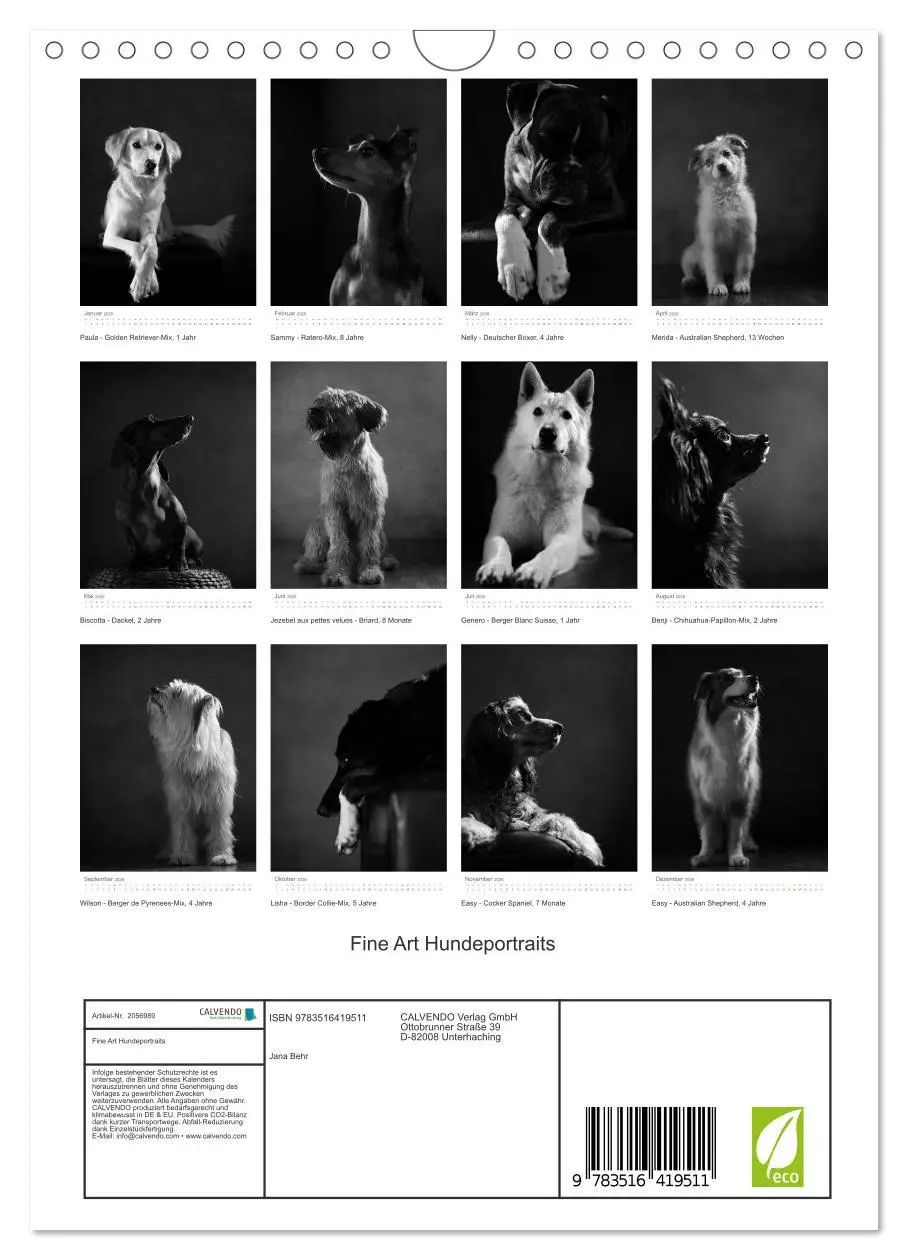 Bild: 9783516419511 | Fine Art Hundeportraits (Wandkalender 2026 DIN A4 hoch), CALVENDO...