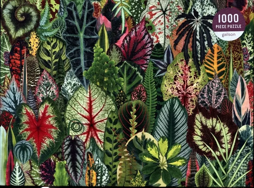 Cover: 9780735359611 | Houseplant Jungle 1000 Piece Puzzle | Galison | Spiel | Englisch
