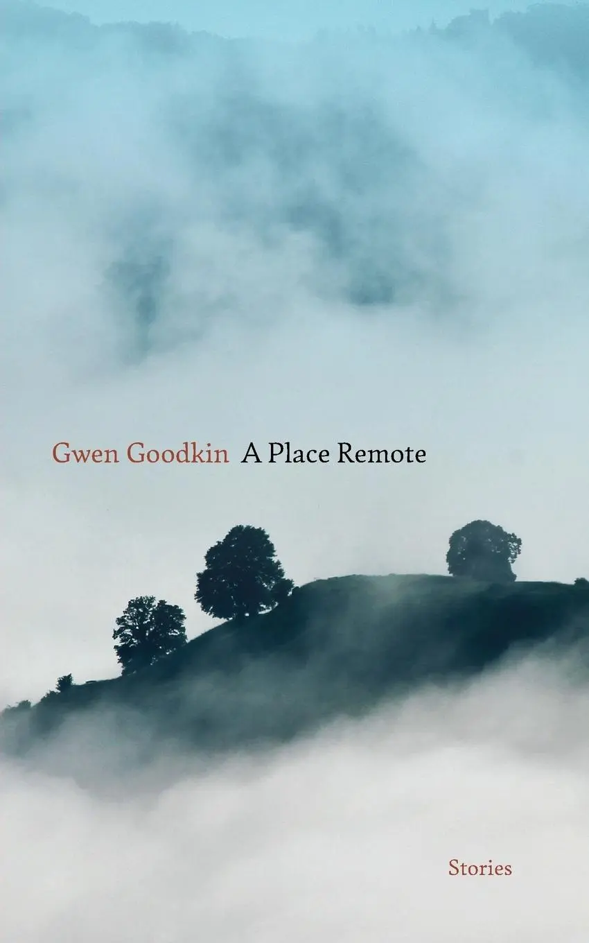 Cover: 9781949199611 | A Place Remote | Stories | Gwen Goodkin | Taschenbuch | Englisch