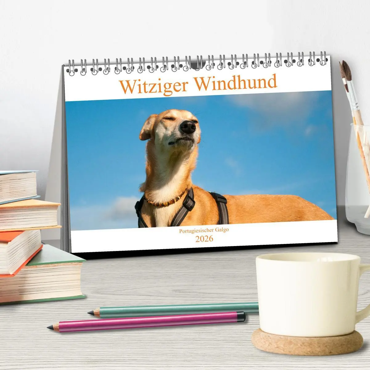 Bild: 9783457619711 | Witziger Windhund - Portugiesischer Galgo (Tischkalender 2026 DIN...