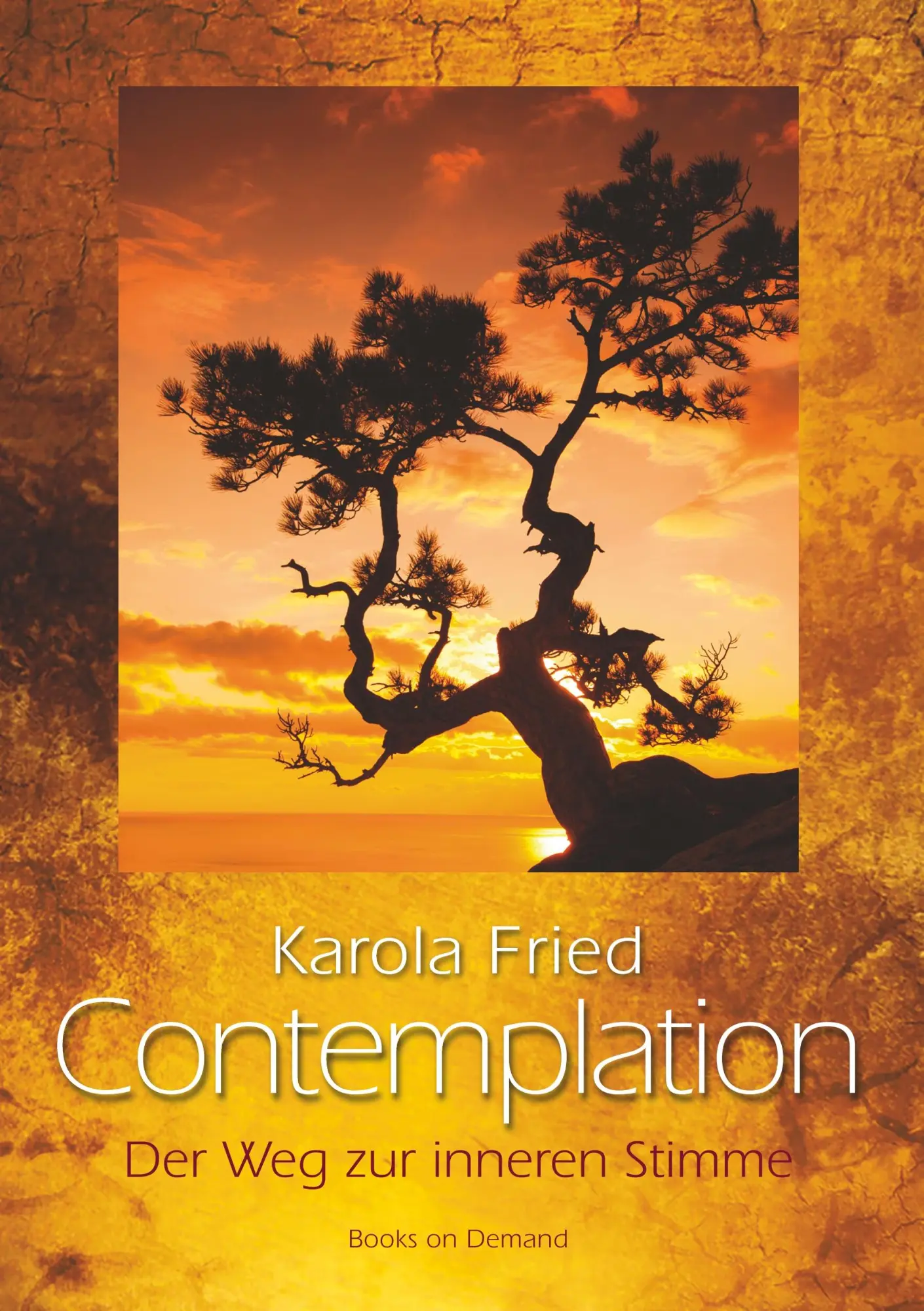 Cover: 9783744889711 | Contemplation | Der Weg zur inneren Stimme | Karola Fried | Buch